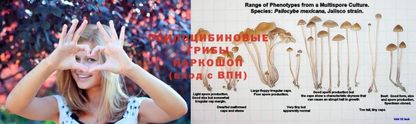 ешки Богородск