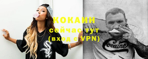 ГАЛЛЮЦИНОГЕННЫЕ ГРИБЫ Бородино