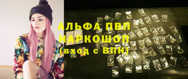 ГАЛЛЮЦИНОГЕННЫЕ ГРИБЫ Бородино